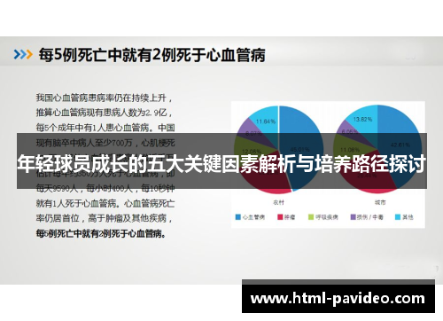 年轻球员成长的五大关键因素解析与培养路径探讨