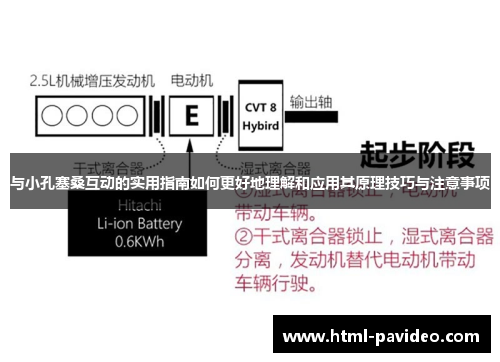 与小孔塞桑互动的实用指南如何更好地理解和应用其原理技巧与注意事项