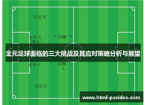金元足球面临的三大挑战及其应对策略分析与展望