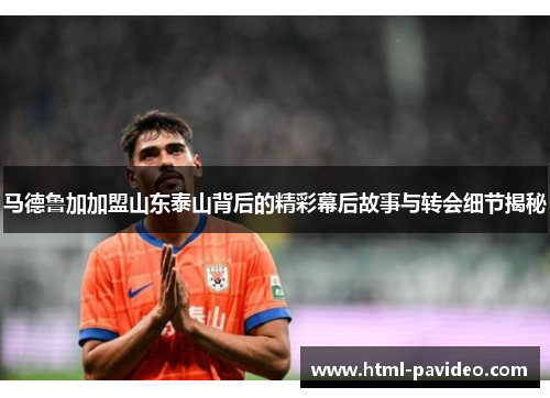 马德鲁加加盟山东泰山背后的精彩幕后故事与转会细节揭秘