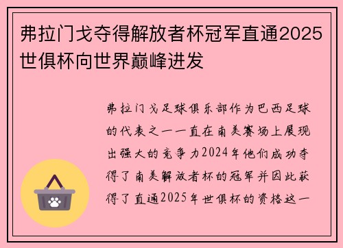 弗拉门戈夺得解放者杯冠军直通2025世俱杯向世界巅峰进发